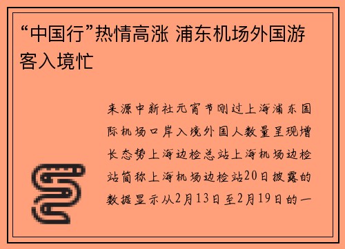 “中国行”热情高涨 浦东机场外国游客入境忙